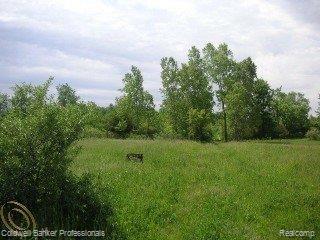 13332 Bemis Road Manchester, MI 48158 - Photo 8 of 25 7