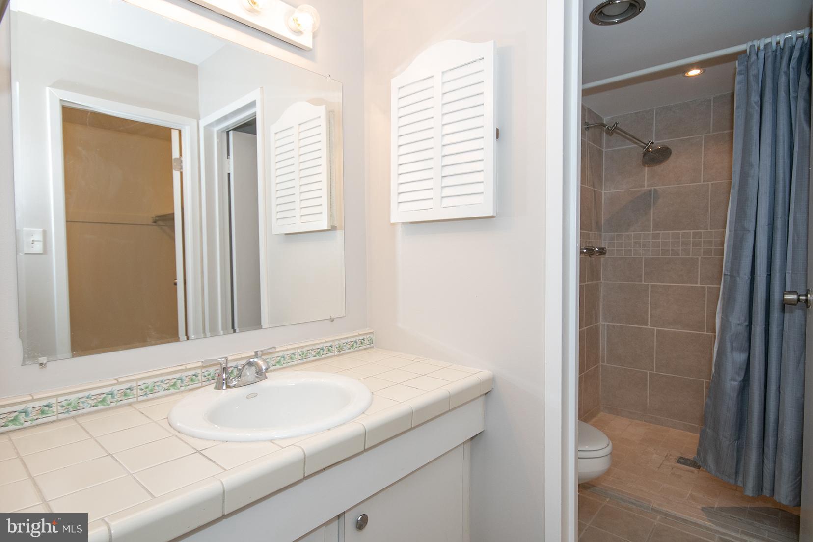 11727 Ledura Court, Unit 201 Reston, VA 20191 - Photo 19 of 29 a bathroom with a sink and a mirror