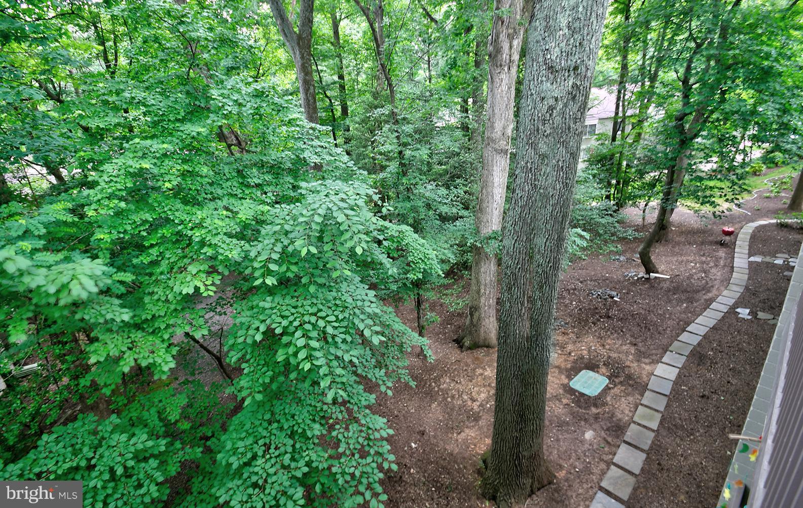 11727 Ledura Court, Unit 201 Reston, VA 20191 - Photo 28 of 29 a view of forest