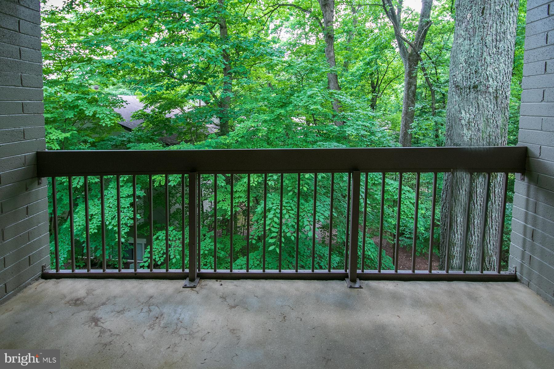 11727 Ledura Court, Unit 201 Reston, VA 20191 - Photo 8 of 29 a view of a green yard with a large window
