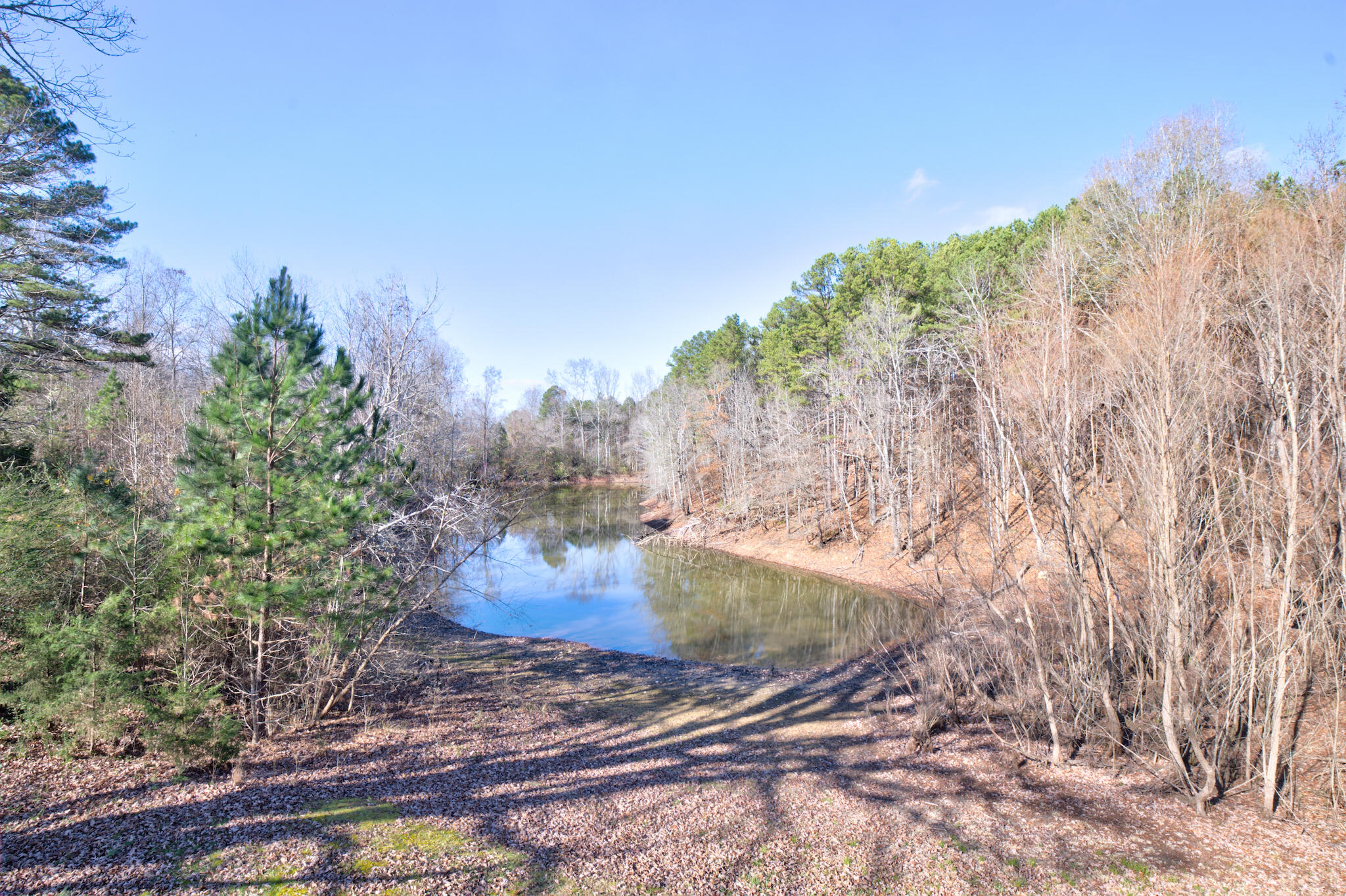 10241 Wagon Wheel Trail Harrison, TN 37341 - Photo 39 of 41 10241 Wagon Wheel Trail 14