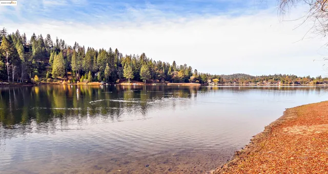 a view of a lake with boats and trees in the background