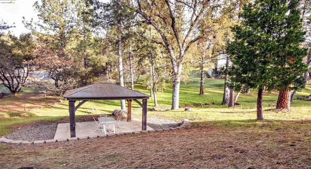 a view of a yard with a tree