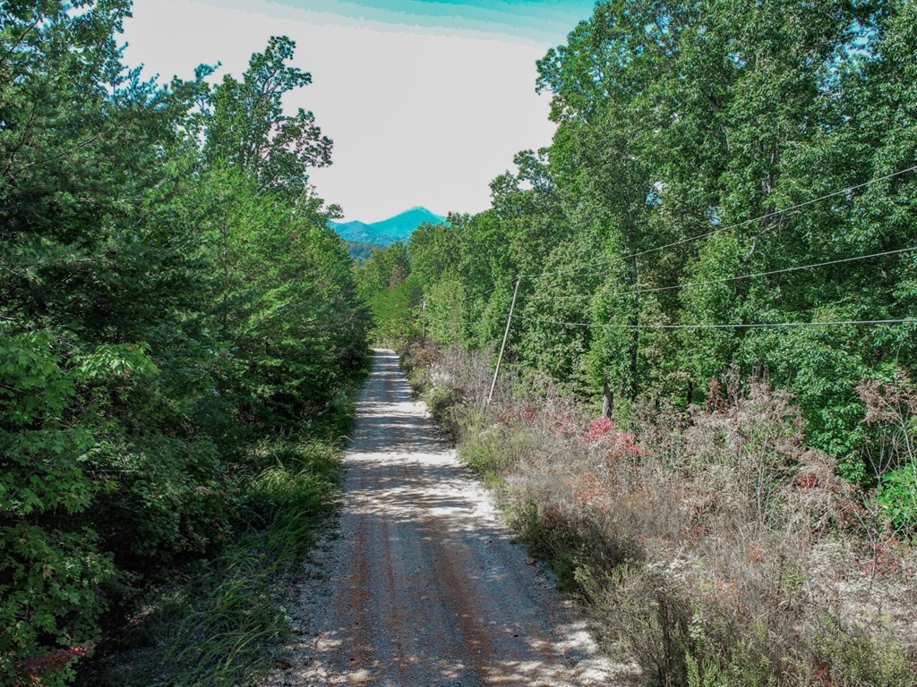 28 Browder Road Newport, TN 37821 - Photo 15 of 15 Gallery Image 15
