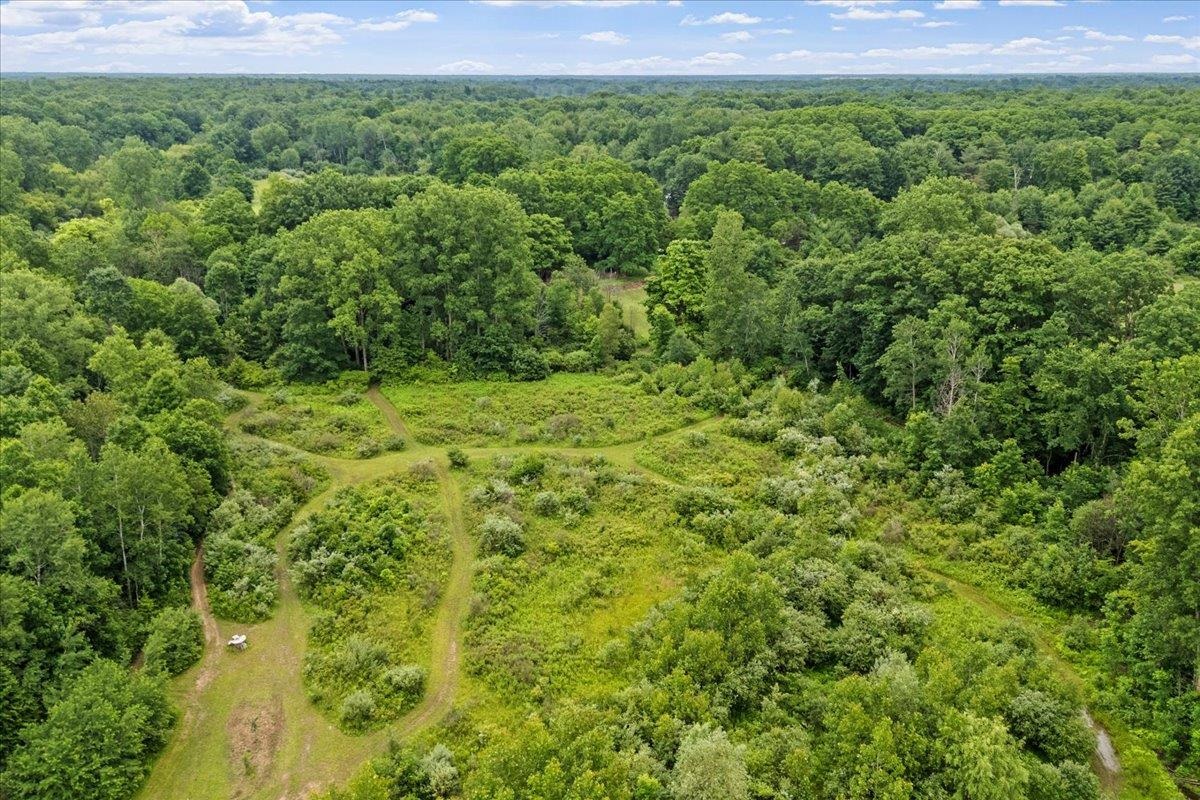 1187 Parks Road Goodells, MI 48027 - Photo 2 of 23
