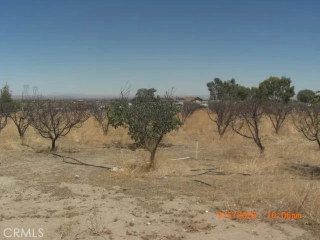 a view of beach and ocean