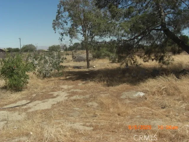 a view of a yard with trees