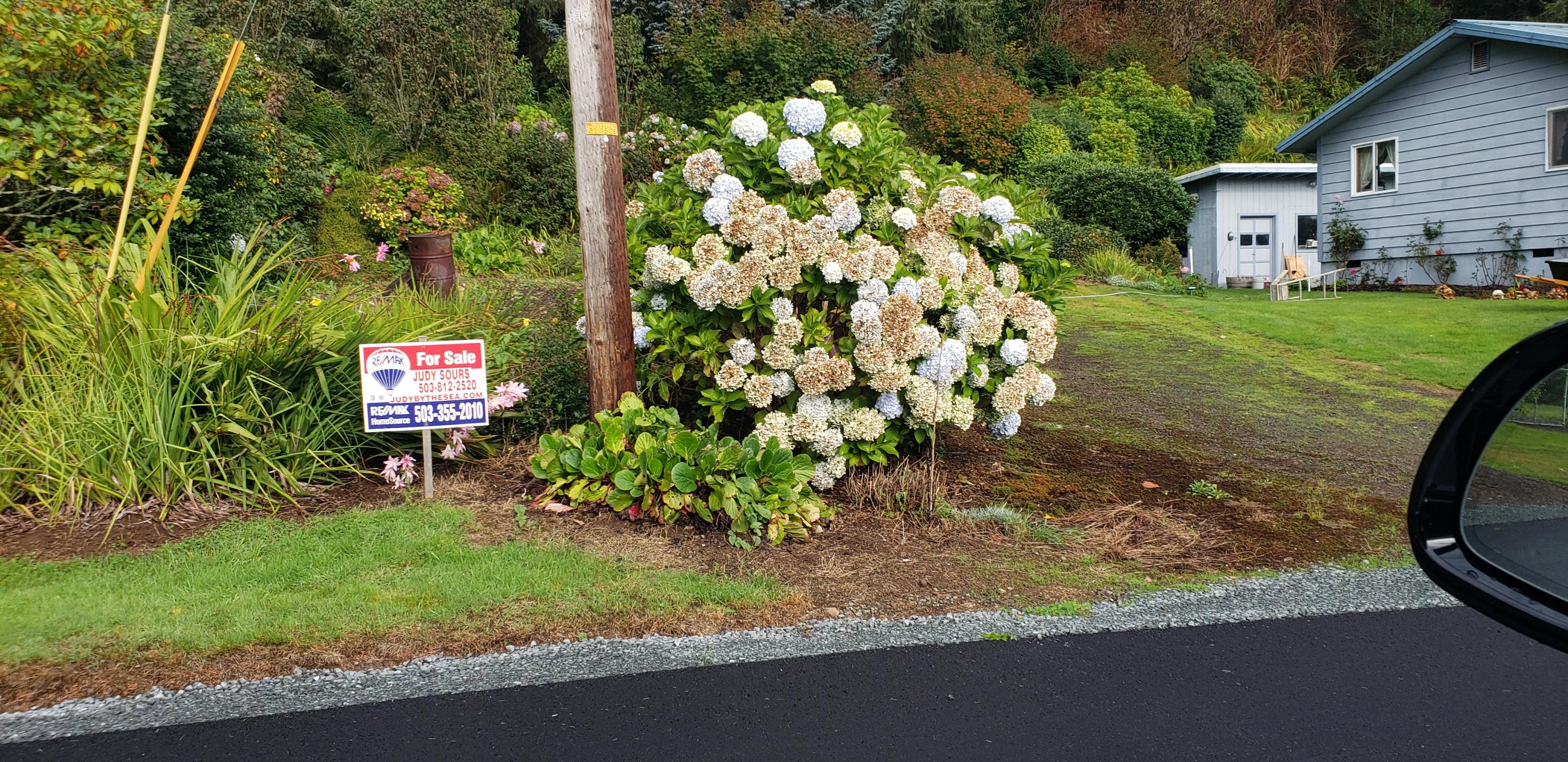 Acacia Avenue Garibaldi, OR 97118 - Photo 2 of 2 20190929_100603