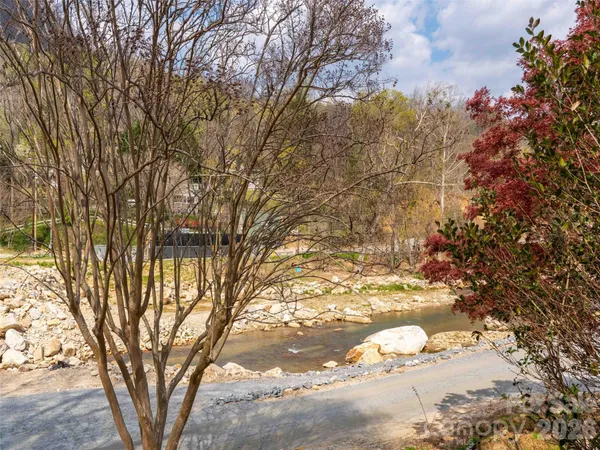 a view of a yard with a tree