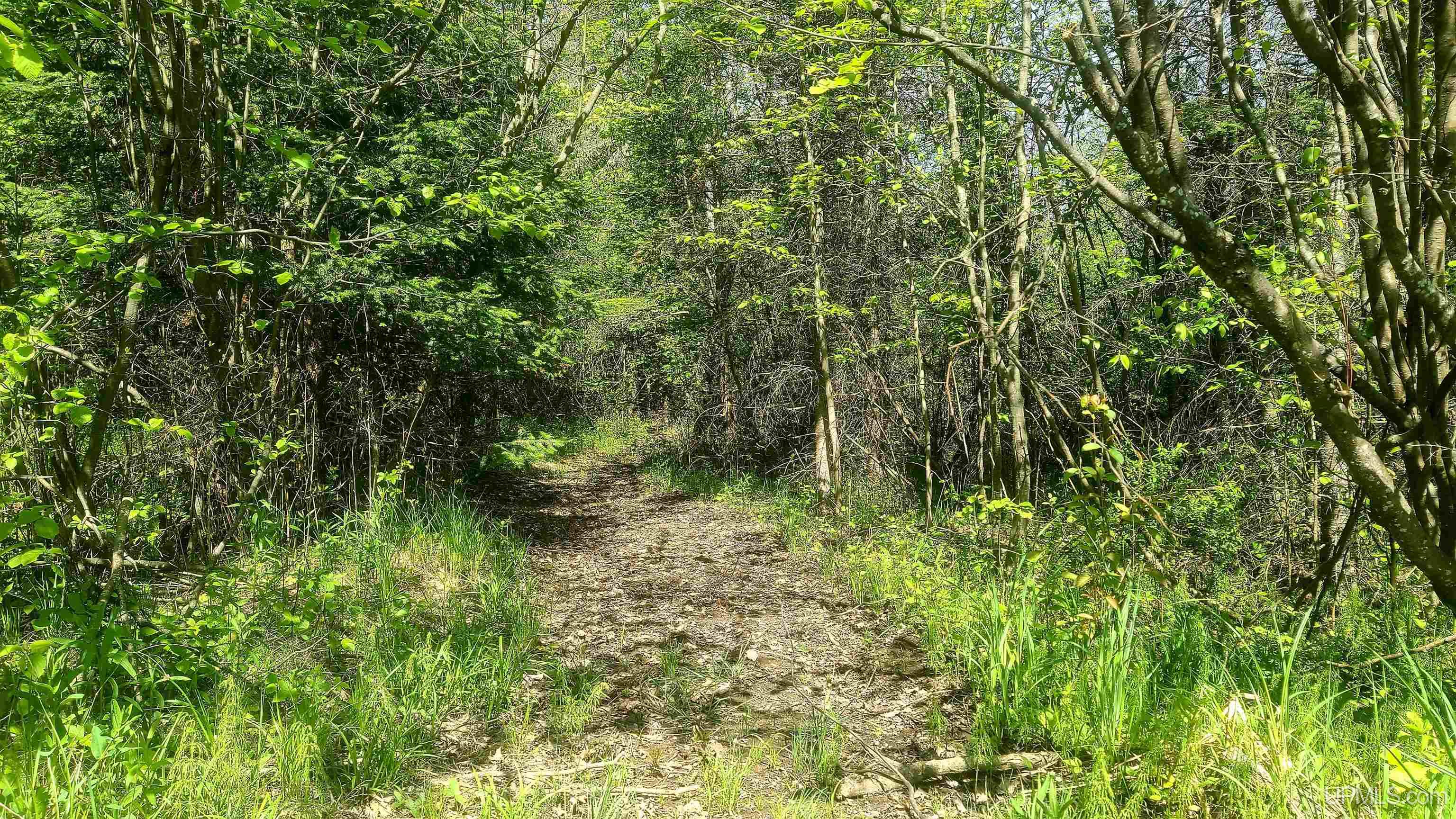 T-wi Wi 54119 Road Dunbar, WI 54119 - Photo 22 of 25 Gallery Image 22