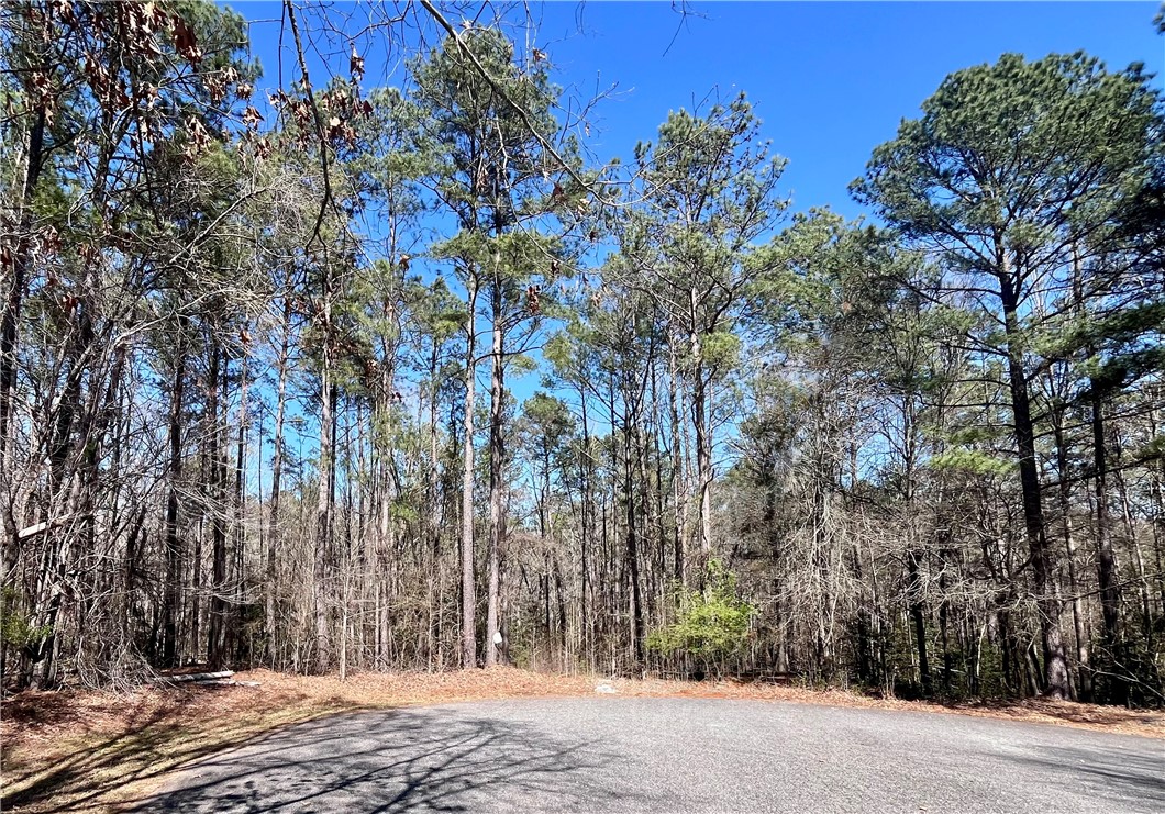 Mature trees and clear blue skies frame this tranquil, expansive lot, ready for your vision.