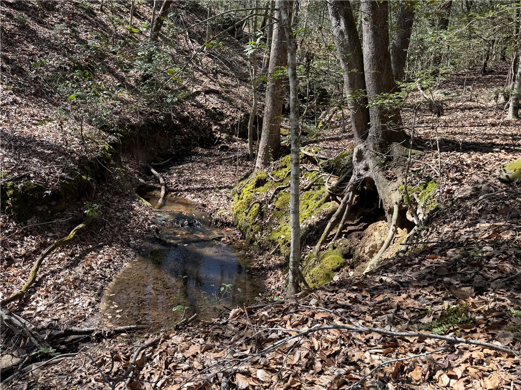 0 Golden Hickory Drive Anderson, SC 29621 - Photo 11 of 21 Discover a tranquil stream meandering through a wooded landscape, perfect for nature enthusiasts.