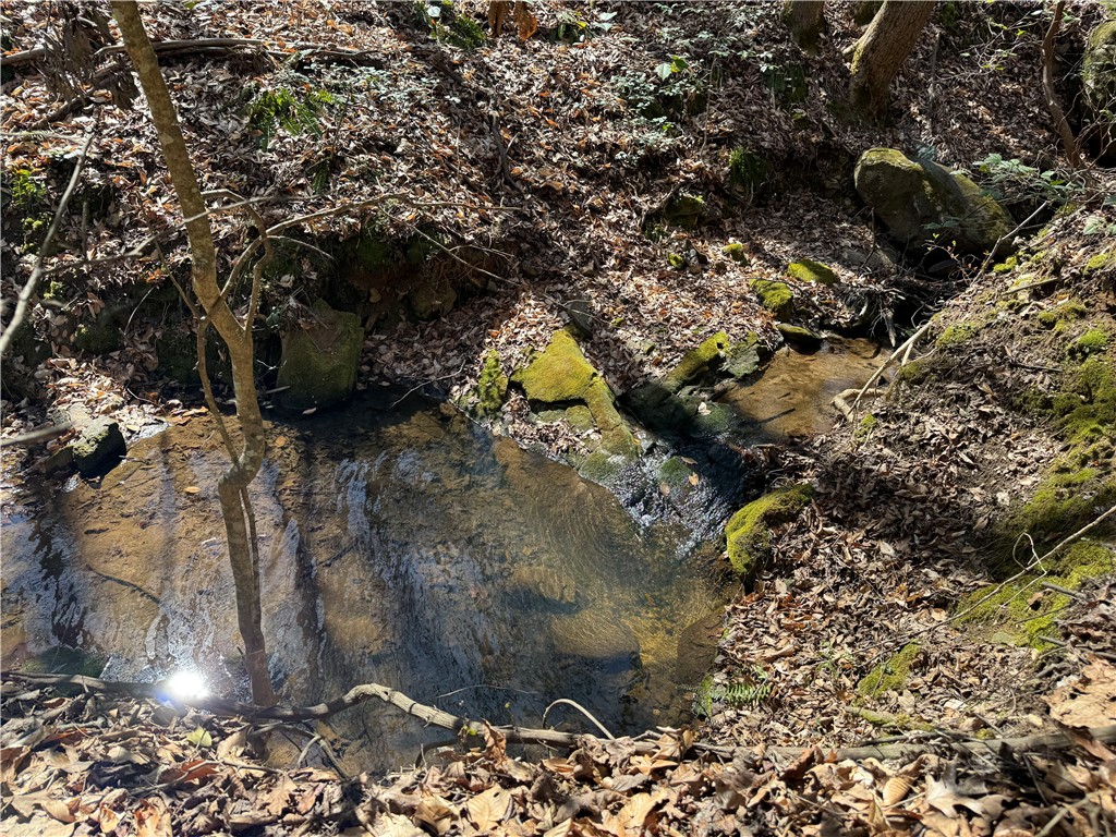 0 Golden Hickory Drive Anderson, SC 29621 - Photo 12 of 21 A tranquil creek flows through a verdant, wooded landscape, offering a serene natural escape.