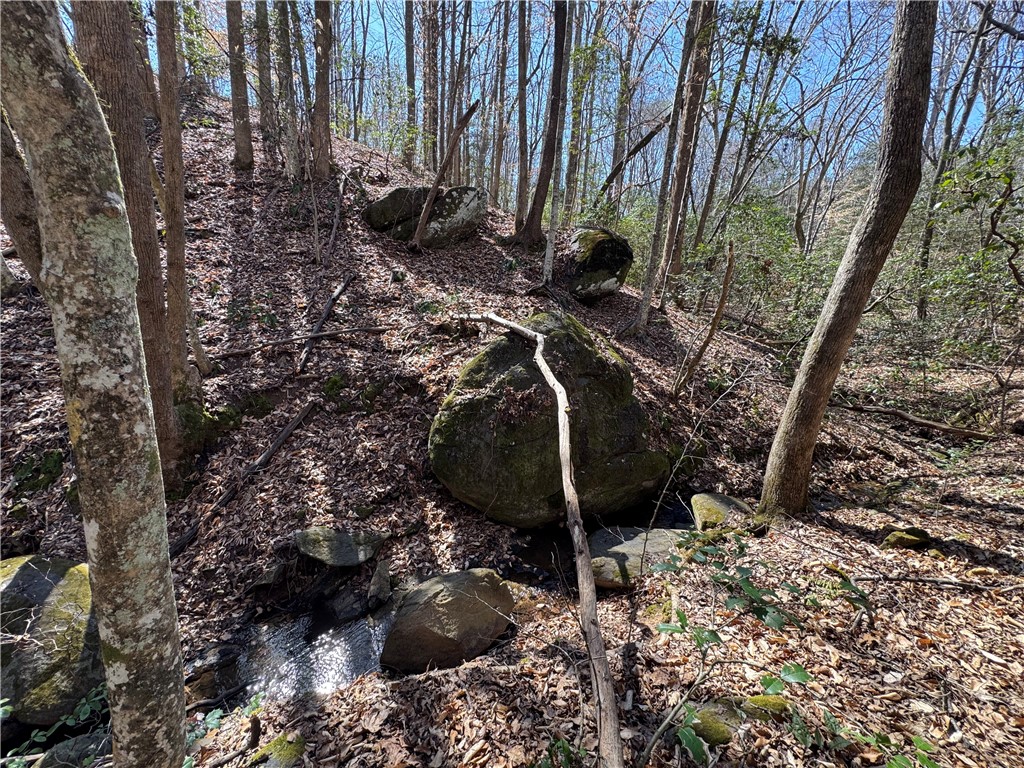 0 Golden Hickory Drive Anderson, SC 29621 - Photo 14 of 21 This tranquil wooded lot offers a peaceful retreat with natural rock formations and a flowing stream.