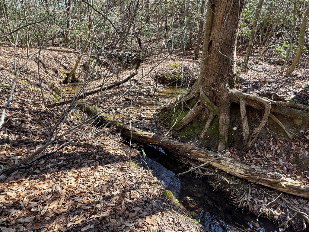 0 Golden Hickory Drive Anderson, SC 29621 - Photo 15 of 21 A tranquil creek winds through a wooded landscape, offering a peaceful natural setting.