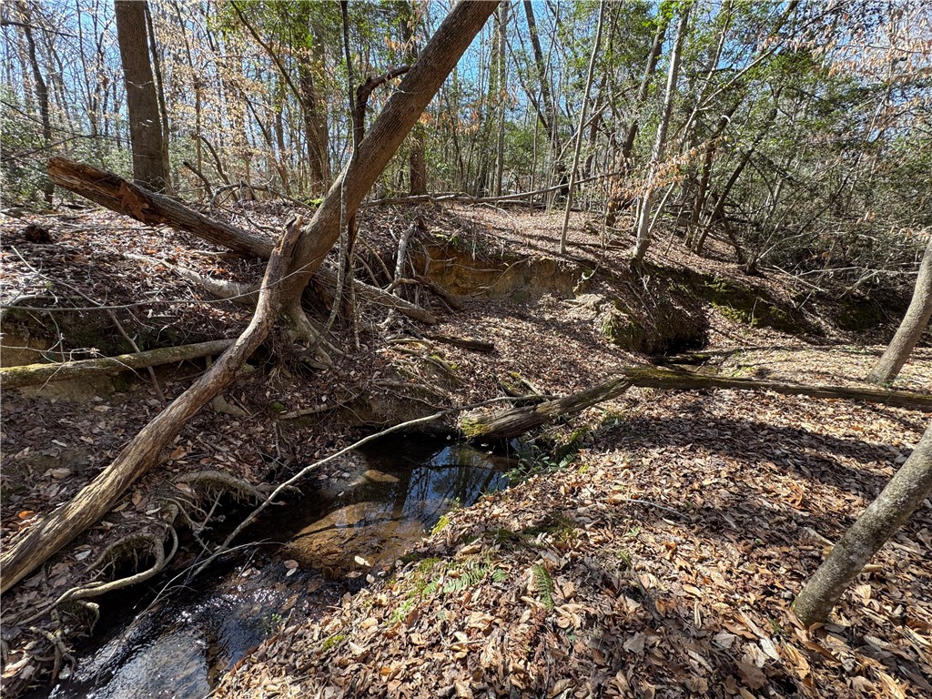 0 Golden Hickory Drive Anderson, SC 29621 - Photo 16 of 21 This serene woodland scene features a tranquil stream winding through a natural landscape.