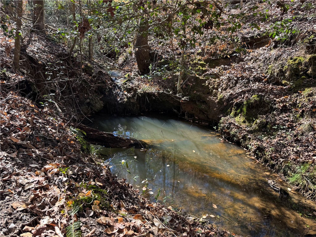 0 Golden Hickory Drive Anderson, SC 29621 - Photo 18 of 21 A tranquil creek winds through a lush, wooded landscape.