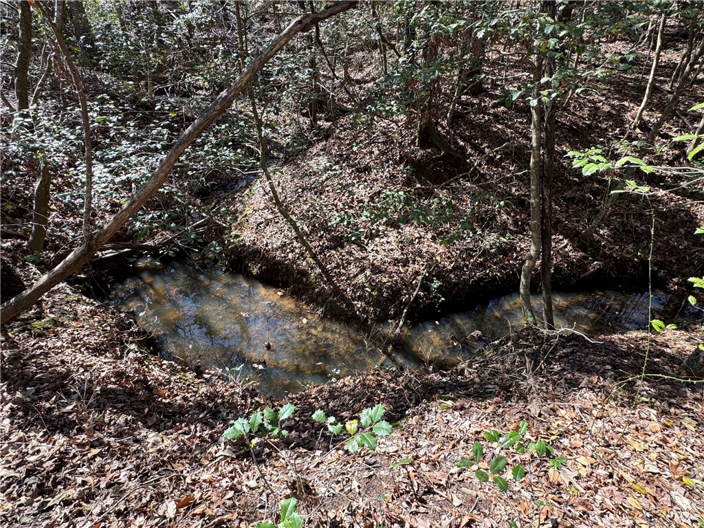 0 Golden Hickory Drive Anderson, SC 29621 - Photo 19 of 21 A tranquil creek winds through a lush, wooded landscape, offering natural serenity.