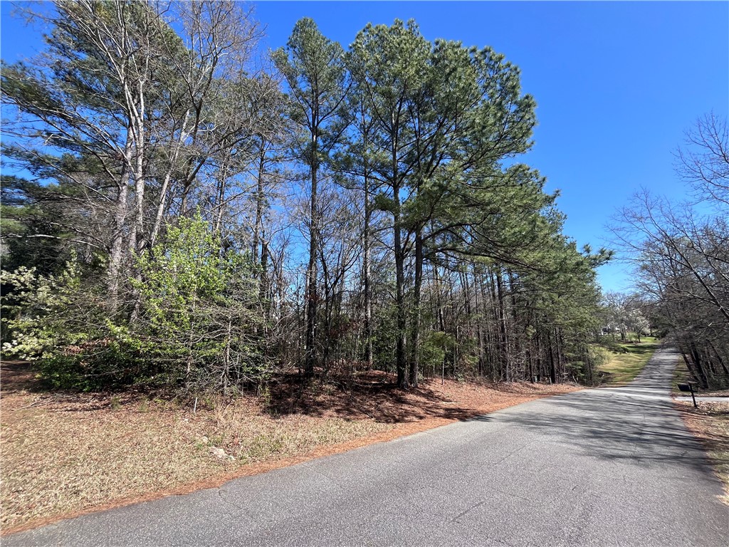 0 Golden Hickory Drive Anderson, SC 29621 - Photo 20 of 21 This verdant parcel offers a serene escape, perfect for building your dream home.