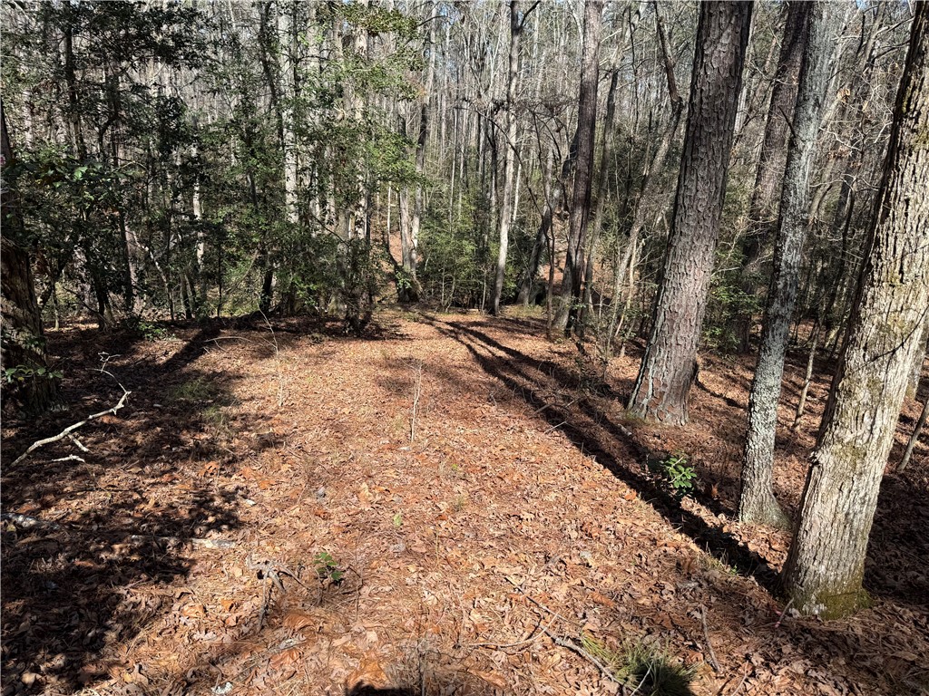 0 Golden Hickory Drive Anderson, SC 29621 - Photo 2 of 21 A tranquil wooded lot offers a peaceful retreat for your future home.