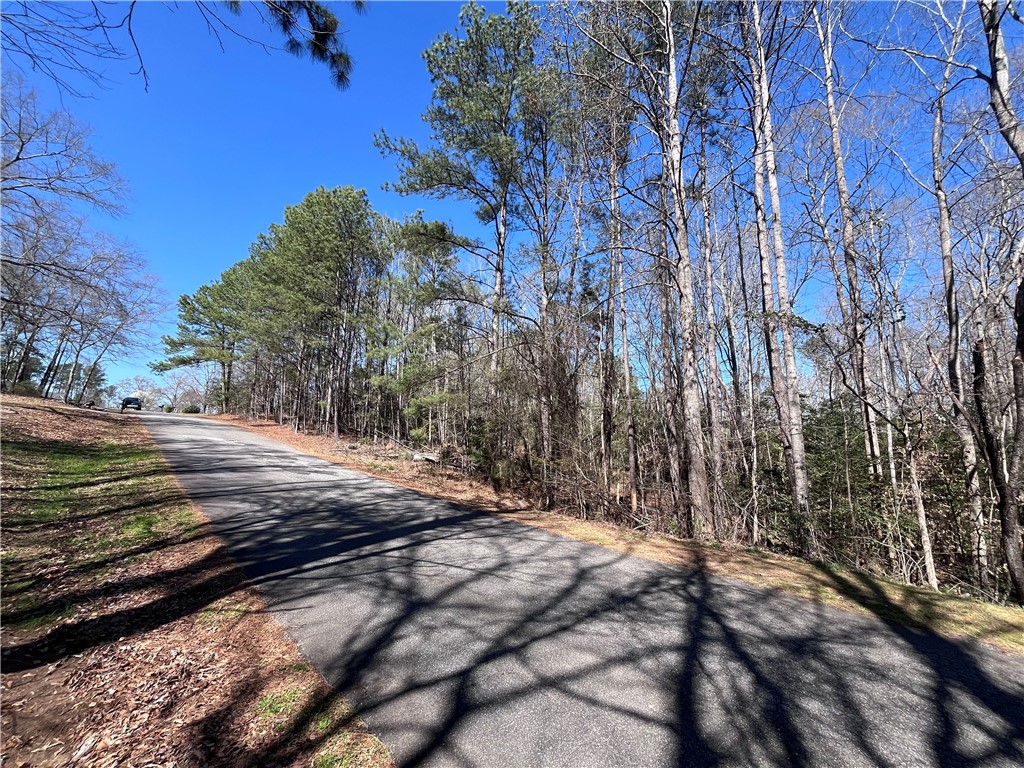 0 Golden Hickory Drive Anderson, SC 29621 - Photo 21 of 21 This scenic tree-lined road offers a tranquil escape, perfect for a private home setting.