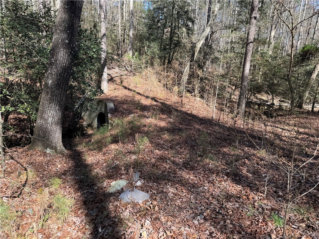 0 Golden Hickory Drive Anderson, SC 29621 - Photo 4 of 21 This verdant expanse offers a serene, wooded backdrop for your future home.