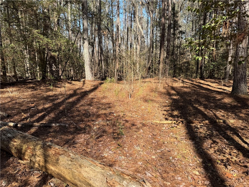 0 Golden Hickory Drive Anderson, SC 29621 - Photo 5 of 21 A tranquil wooded area offering a serene escape and natural beauty.