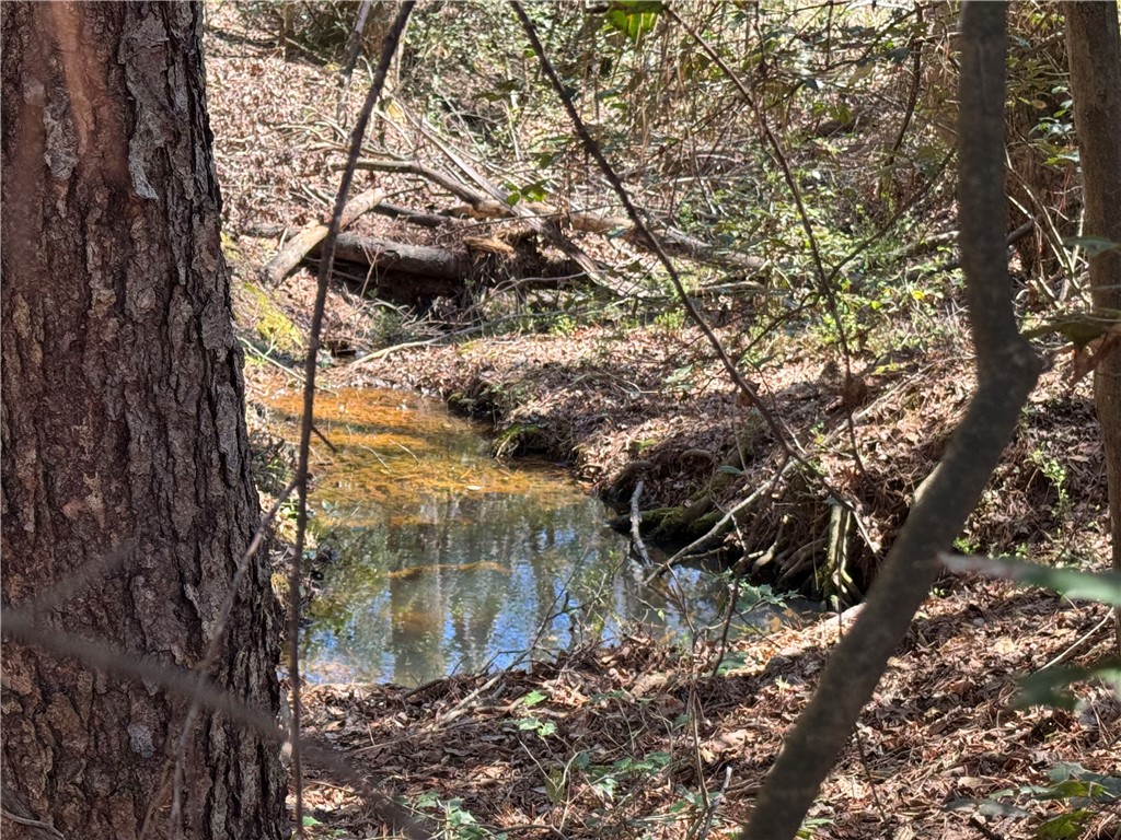0 Golden Hickory Drive Anderson, SC 29621 - Photo 7 of 21 A tranquil creek winds through a lush, wooded landscape.