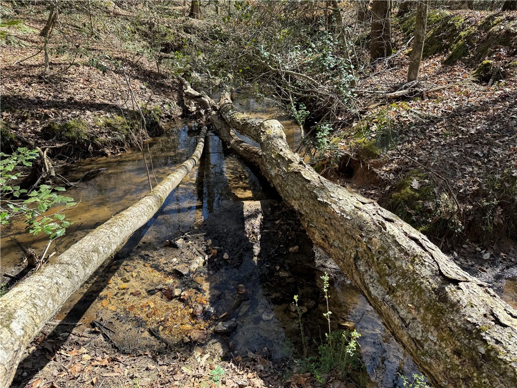 0 Golden Hickory Drive Anderson, SC 29621 - Photo 8 of 21 A tranquil stream meanders through a wooded landscape, offering a serene natural boundary.