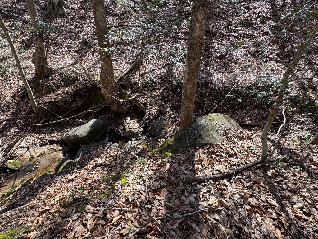0 Golden Hickory Drive Anderson, SC 29621 - Photo 9 of 21 A tranquil stream meanders through a wooded landscape, offering a serene natural boundary.