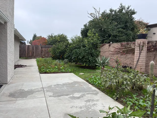 a view of a garden with plants and trees