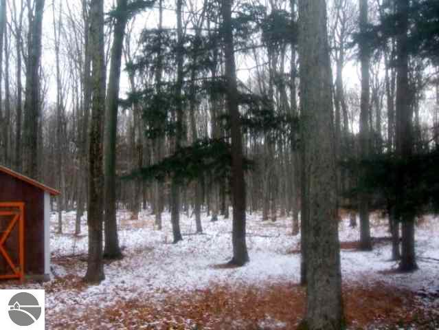 4190 East 30 Road Cadillac, MI 49601 - Photo 3 of 9 1686454-2.JPG