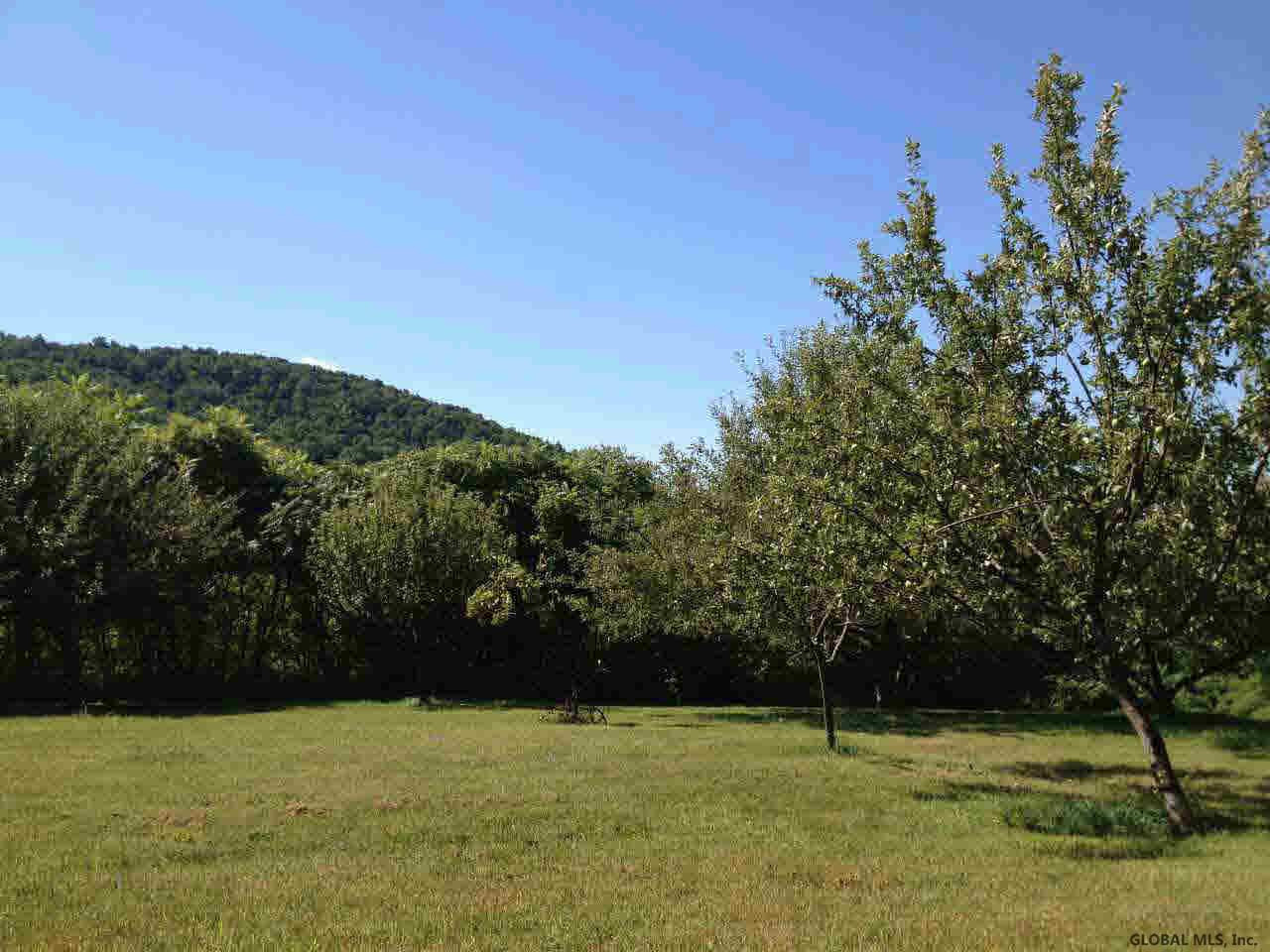 3134 Coach Road Hartford, NY 12838 - Photo 12 of 12 Photo 12