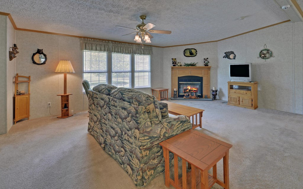 447 Johnsonville Road Murphy, NC 28906 - Photo 7 of 42 Gallery Image 7