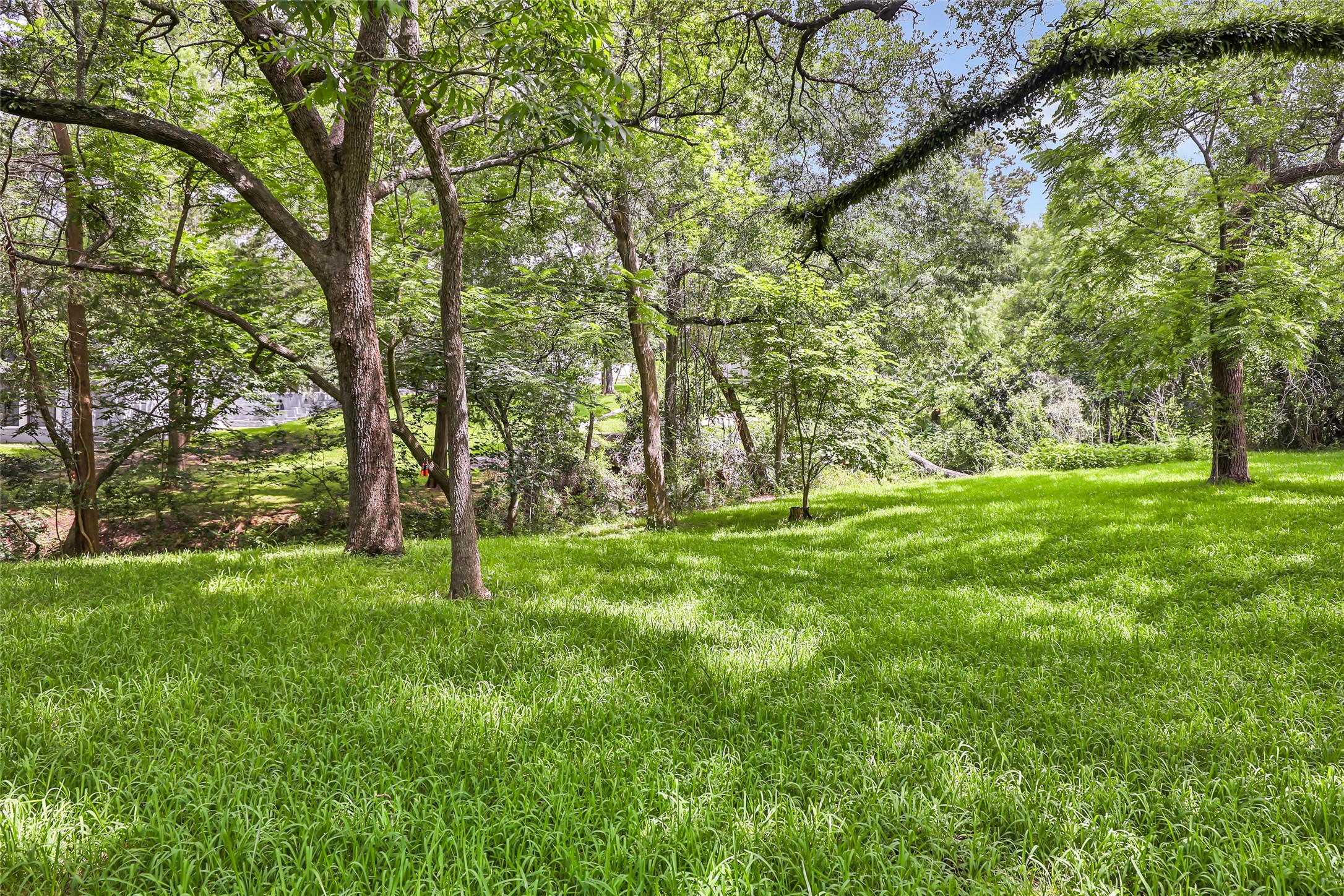 123 Burwell Road Highlands, TX 77562 - Photo 4 of 25 Privacy provided by nature without the restrictions