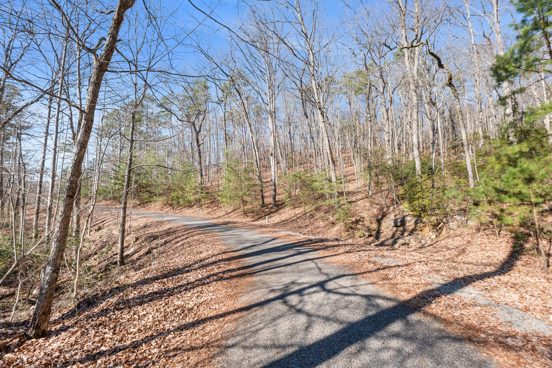 0 Tall Tree Trail, Unit 406 Dunlap, TN 37327 - Photo 16 of 18 dsc03079