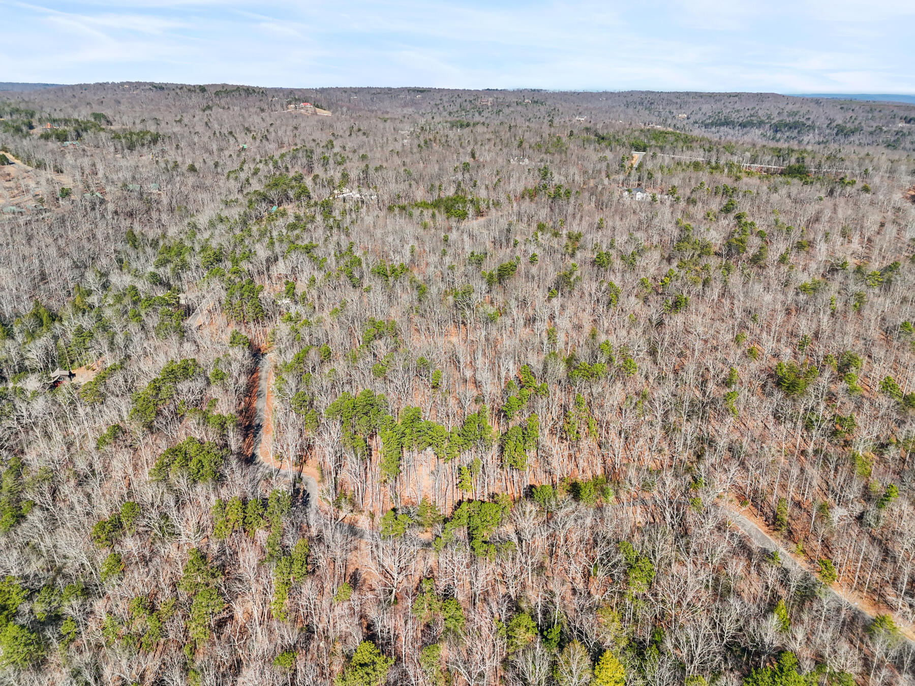 0 Tall Tree Trail, Unit 406 Dunlap, TN 37327 - Photo 2 of 18 dji_20260106014113_0585_d