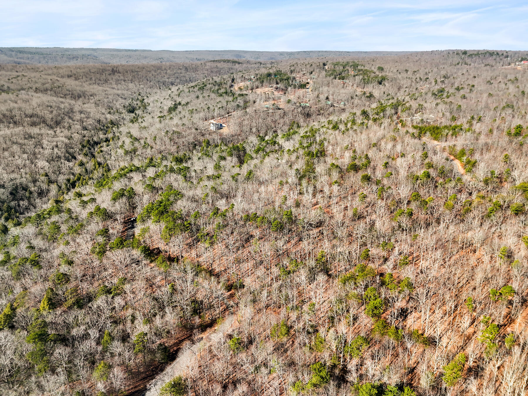 0 Tall Tree Trail, Unit 406 Dunlap, TN 37327 - Photo 3 of 18 dji_20260106014140_0590_d