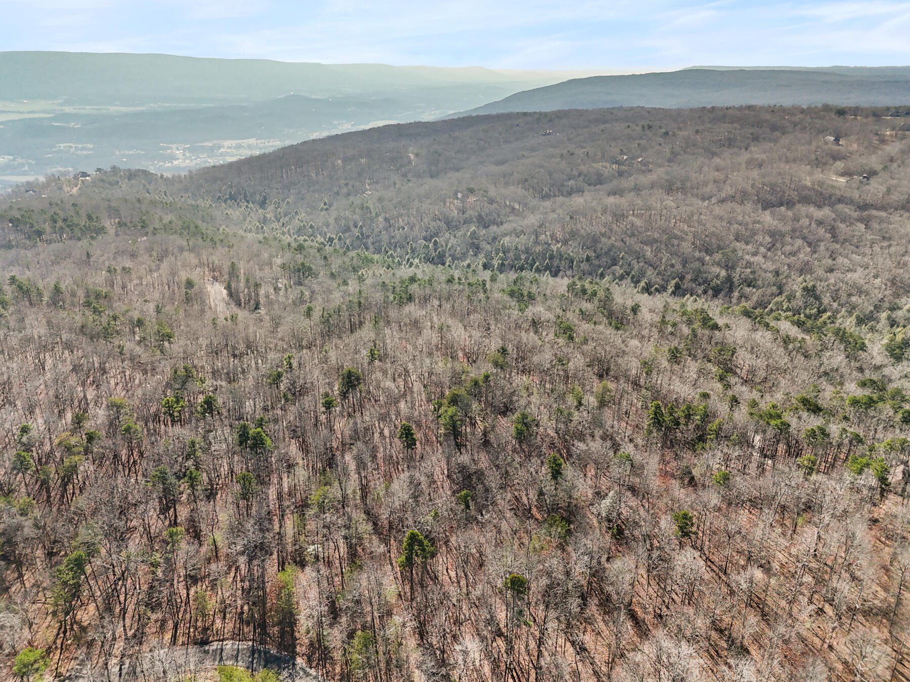 0 Tall Tree Trail, Unit 406 Dunlap, TN 37327 - Photo 5 of 18 dji_20260106014235_0600_d