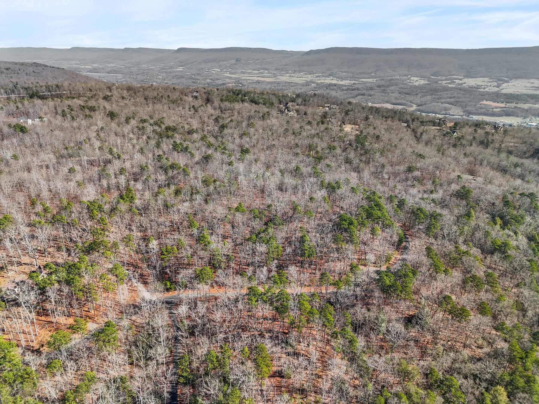 0 Tall Tree Trail, Unit 406 Dunlap, TN 37327 - Photo 7 of 18 dji_20260106014357_0610_d