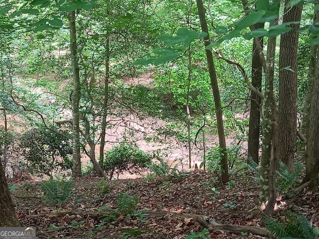 0 Pulliam Mill Road Dewy Rose, GA 30634 - Photo 3 of 13