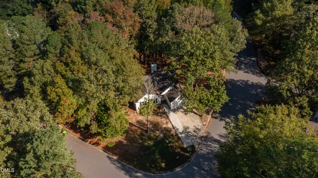 a view of a plant in a garden