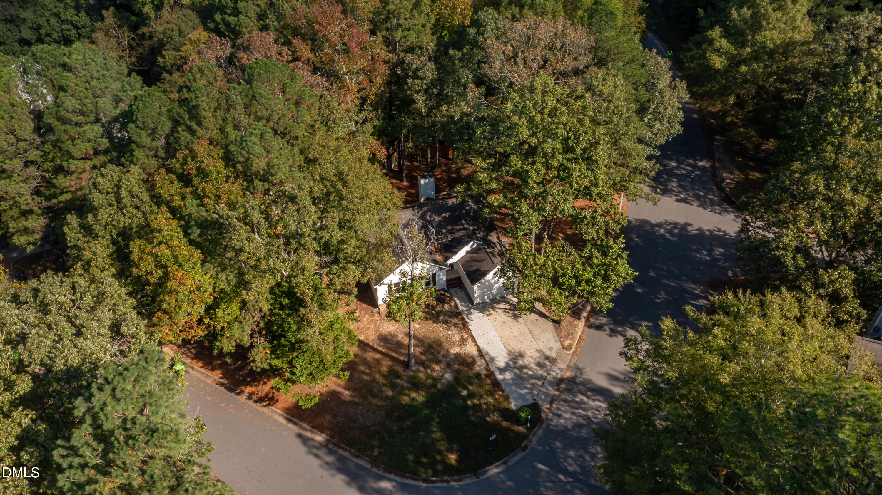 3609 Singleleaf Lane Raleigh, NC 27616 - Photo 40 of 41 a view of a plant in a garden