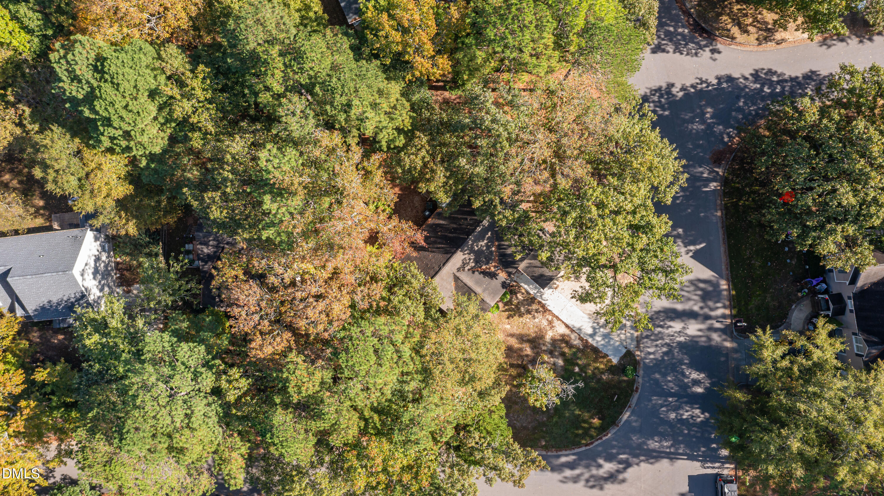 3609 Singleleaf Lane Raleigh, NC 27616 - Photo 41 of 41 a view of a house with a tree