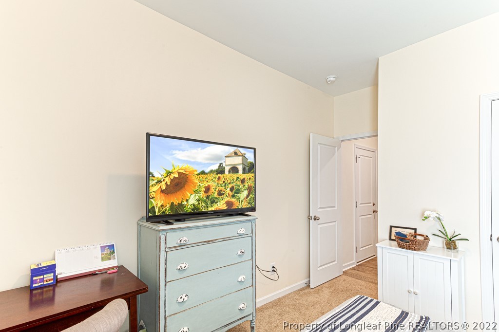 141 Starlight Road Lillington, NC 27546 - Photo 14 of 39 Gallery Image 14
