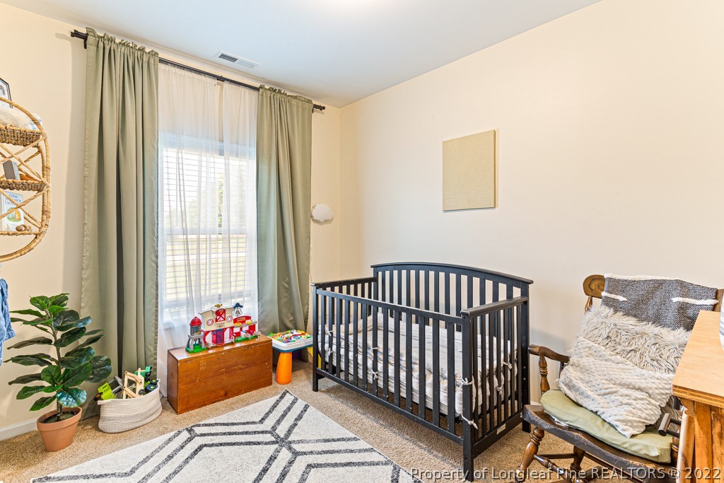 141 Starlight Road Lillington, NC 27546 - Photo 8 of 39 Gallery Image 8