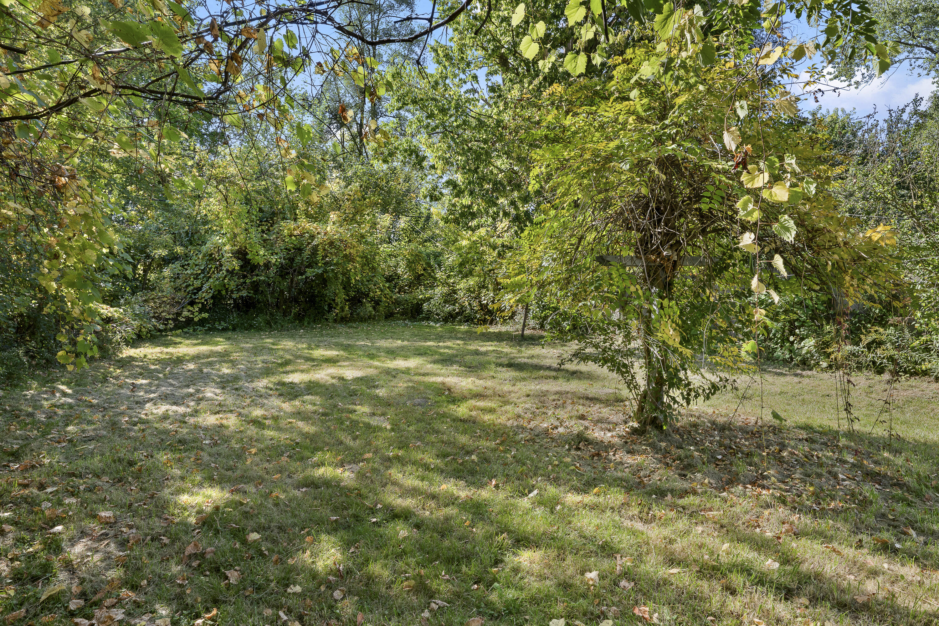 25933 Norfolk Street Inkster, MI 48141 - Photo 5 of 26 DSC_9095