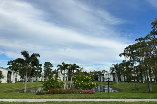 a view of a big yard with flower plants and wooden fence