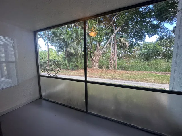 a view of a forest from a window
