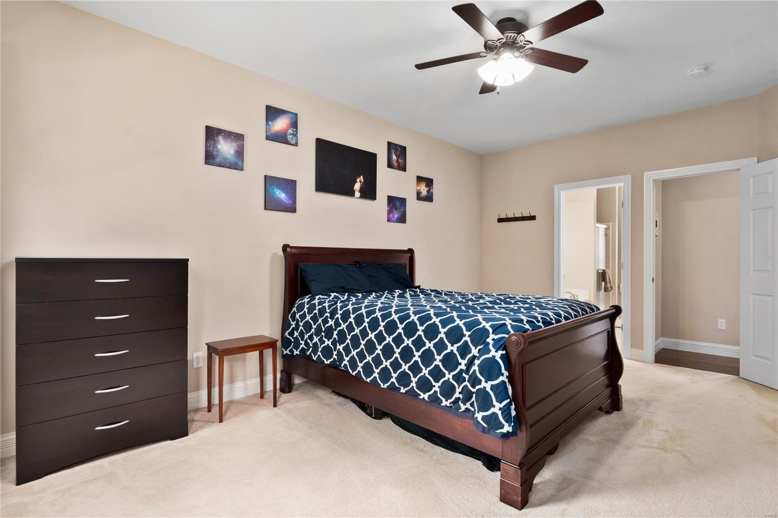 1298 Spring Lilly Drive High Ridge, MO 63049 - Photo 18 of 44